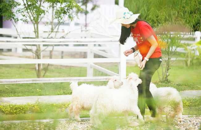 Luxury Farm House Pai - Photo 46