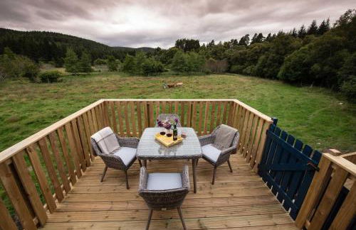 Beautiful dog friendly lodge with hot tub - Foto 16