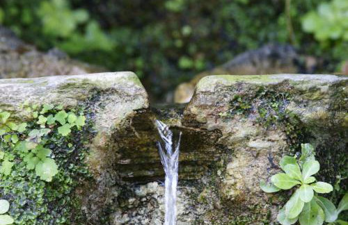 Elpida Andros - Foto 34