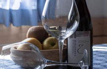 HAUSERHOF Farmhouse with Dolomite View - Foto 55