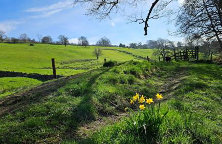 Folly View - Private, peaceful apartment with stunning views. - Foto 67