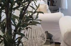 Helen of Troy House - Foto 14