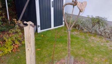 Das kleine Lavendelhaus - Foto 5, Garden view