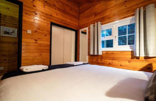 Rural Log Cabin in Snowdonia near Coed y Brenin by Seren Short Stays - Foto 3