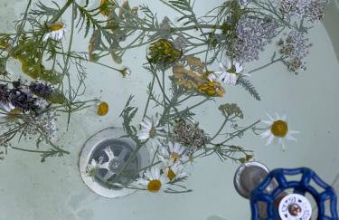 Calma House Ublik - Foto 21