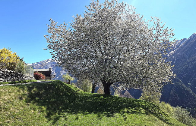 Rustico Cà dru Lurenz - Photo 24