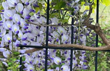 Villa Marta Casa de Indianos Passive House - Foto 37