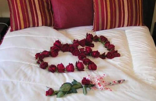 seiaalojamentos - Foto 1