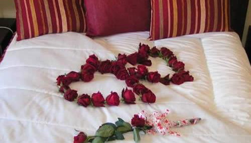 seiaalojamentos - Foto 1