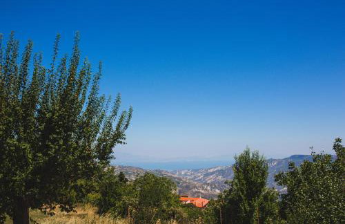 Litheon House - Photo 45