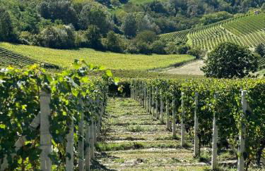 Appartamento ''La Poesia Della Terra'' - Foto 6