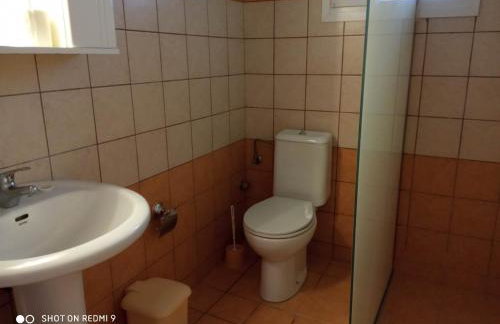 Angelik Ipsos no5 - Photo 8