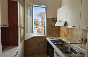 Residence Limoneto Ischia - Foto 69