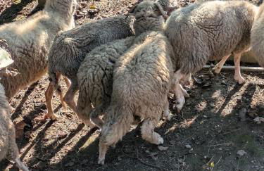 Casa do Valo - Foto 38