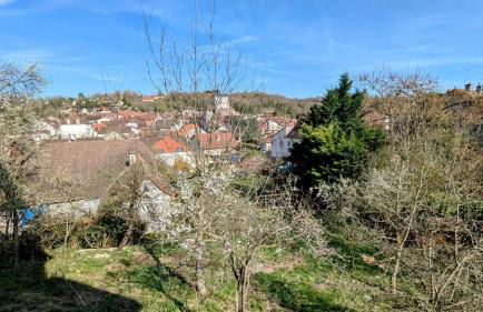 Le Brocangîte à Jules - Foto 21