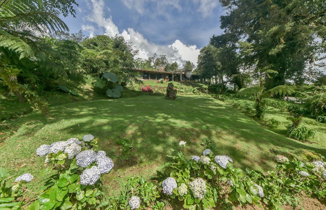 Villa Calas - Foto 47