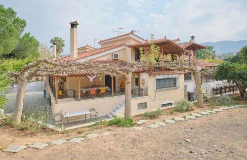 Villa - Farmhouse - Photo 20