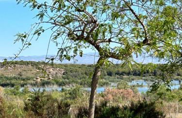 Gran Alacant Relax Casa - Photo 48