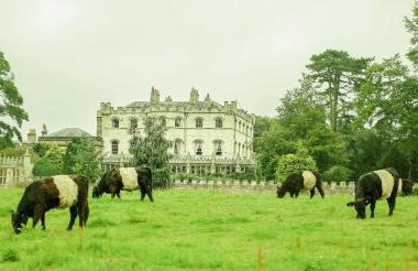 The Castle By Group Retreats - Foto 39