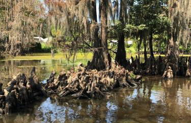 Cypress ChaletCaddo Lake Cabin with Kayaks - Foto 21