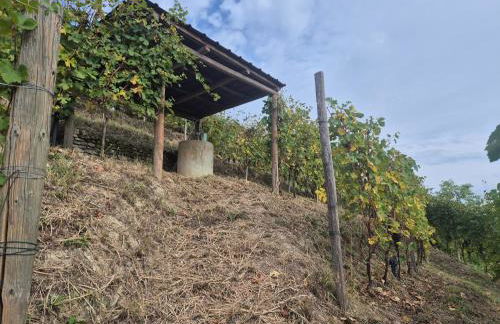 Agriturismo Dei Magi - Foto 29