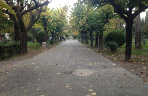 Betty's House - Foto 44