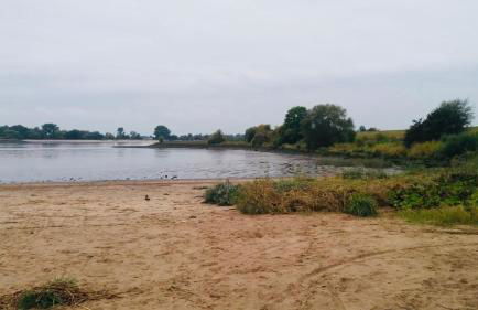 Zum Seemann - Foto 18