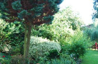 Ferienwohnung Aronia - Photo 19