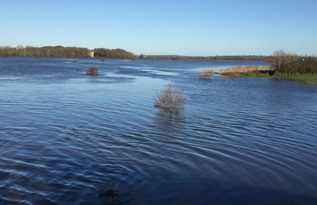 Holiday Home in Houtteville With Garden - Foto 45