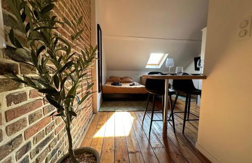 IMMEUBLE ST-PIERRE - GARE 10min - HORTILLONNAGES 5min - WIFI - TV HD - Foto 35