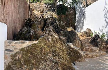 Puerta de los Castañares A - Foto 24