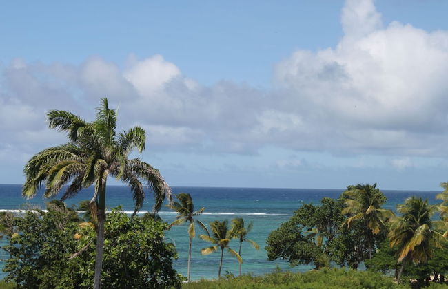 Résidence Tropicale - Foto 46