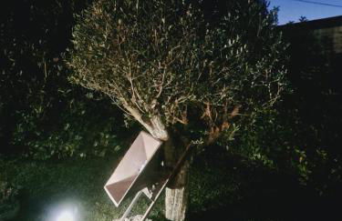 CASE DI BACCO - Foto 29