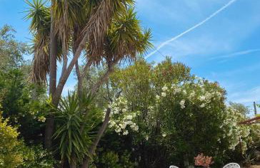 Sunset of Pelion - Foto 39