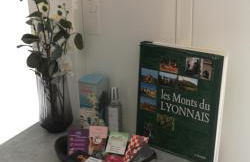 Proche Hôpital LyonSud Metro B Calme et WiFi - Foto 11