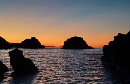 Jardín San Pelayo - Foto 42