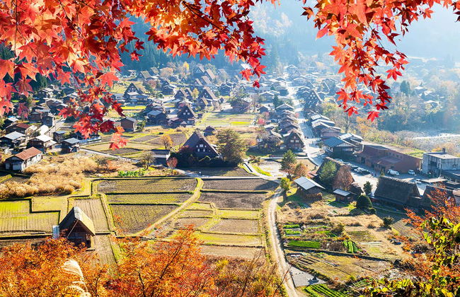 Takayama & Shirakawago Day Trip - Photo 3