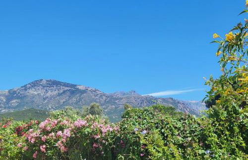 Casa Figarella - Foto 16