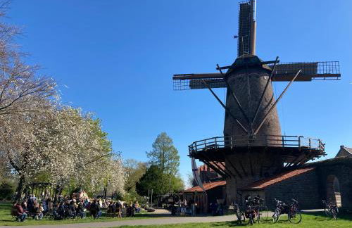 Ferienhaus Am Dombogen - BARRIEREFREI - 2 Schlafzimmer ab 3 Personen - mindestens 3 Nächte Aufenthalt - Foto 62