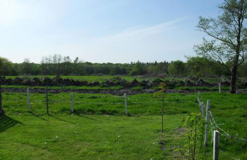 Ferienhof Schlachter - Foto 27