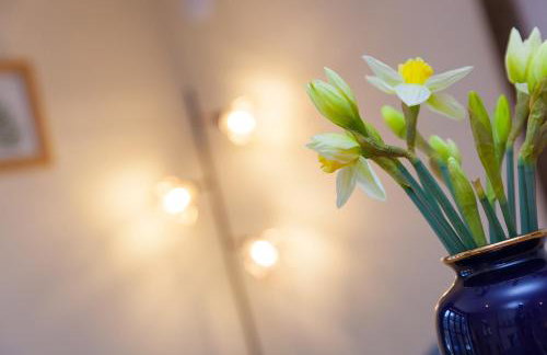 FurnessThe West Dry - Foto 13