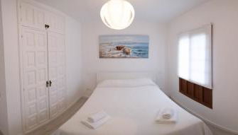 Elita 38 - Elite - Foto 5