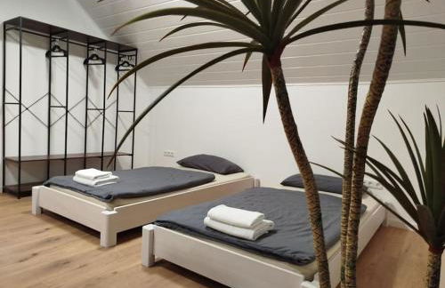 Appartement Design - Glauburg - Photo 1