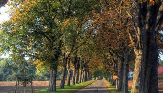 Schlosspark Hollwinkel - Foto 2