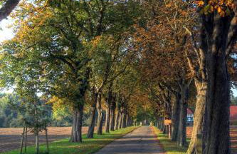 Schlosspark Hollwinkel - Foto 2