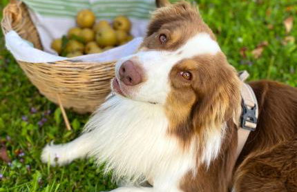 Casa delle Arti Fattoria dei fiori - Foto 35