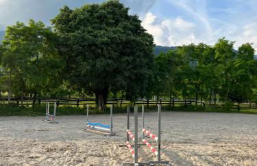 Agriturismo al Ranch - Foto 43