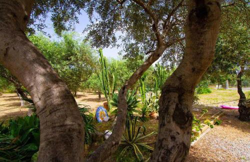 Medimare Residence Club - Foto 28