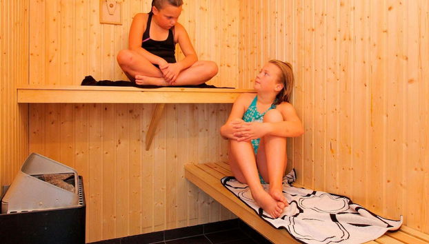 14 Person Holiday Home in Lokken - Foto 3, Sauna