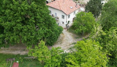 La Collina dei Conigli - immersi nella natura - Foto 2